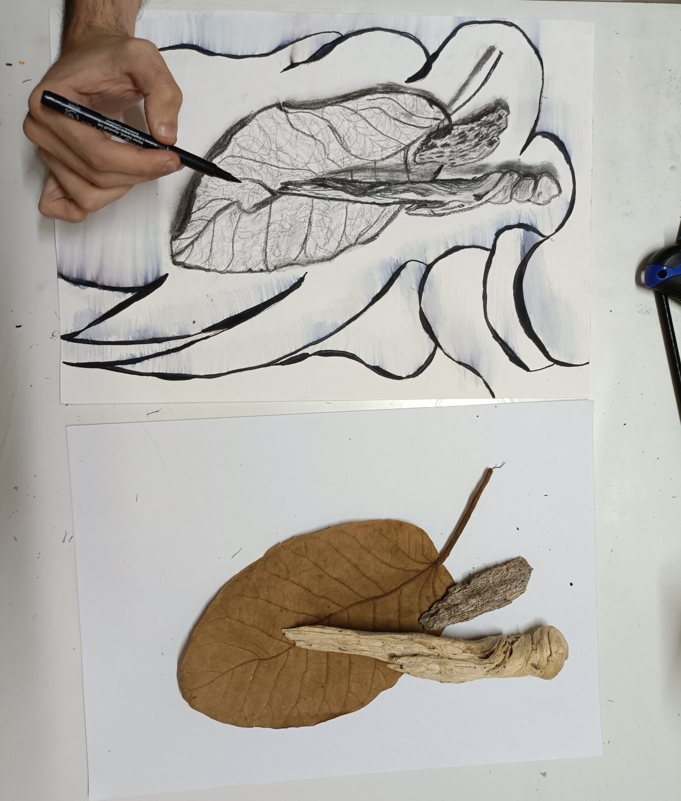 Desenho de observação